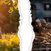 Wir starten mit unterschiedlichen Rahmenbedingungen und Chancen in unser Leben. Doch so unterschiedlich wir dadurch auch scheinen, sind wir in so vielem gleich - wir Menschen.
