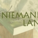 Niemandsland - Bianca Bolduan. Ein Roman, der die Entwicklungsreise einer ganz normalen Frau begleitet.