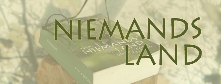 Niemandsland - Bianca Bolduan. Ein Roman, der die Entwicklungsreise einer ganz normalen Frau begleitet.